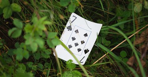 The Hidden Truth Behind the 7 of Spades .